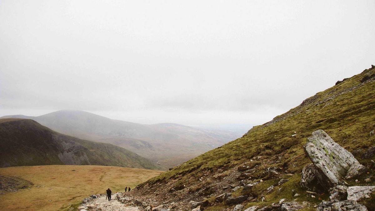 Illustration zu VW Datenskandal