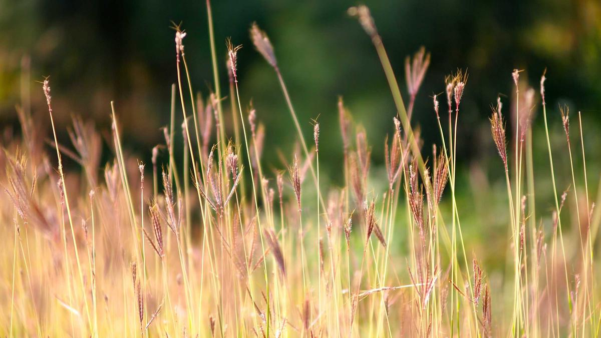 Detailansicht: Was Hat Karfreitag Geoeffnet
