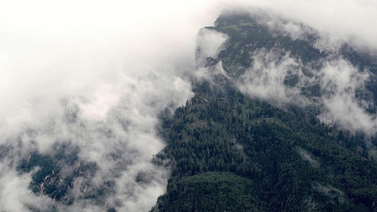 Symbolbild zum Thema Collien Fernandes Ulmen