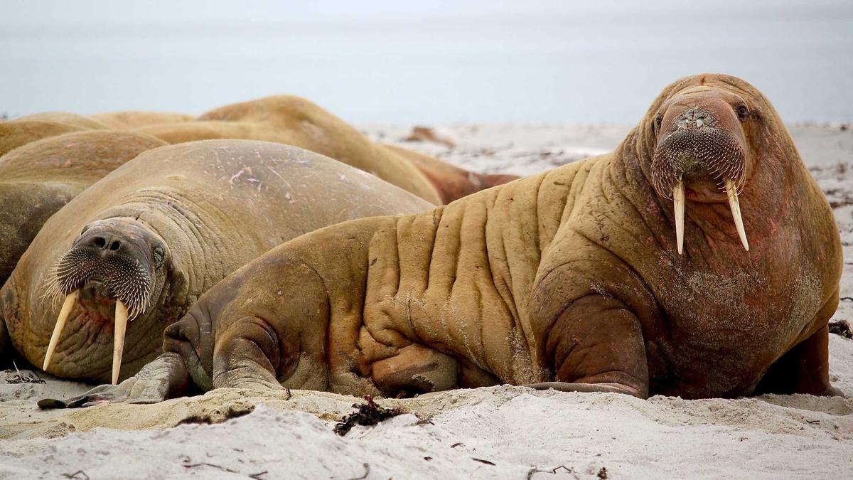 Symbolbild zum Thema Jannik Schuster