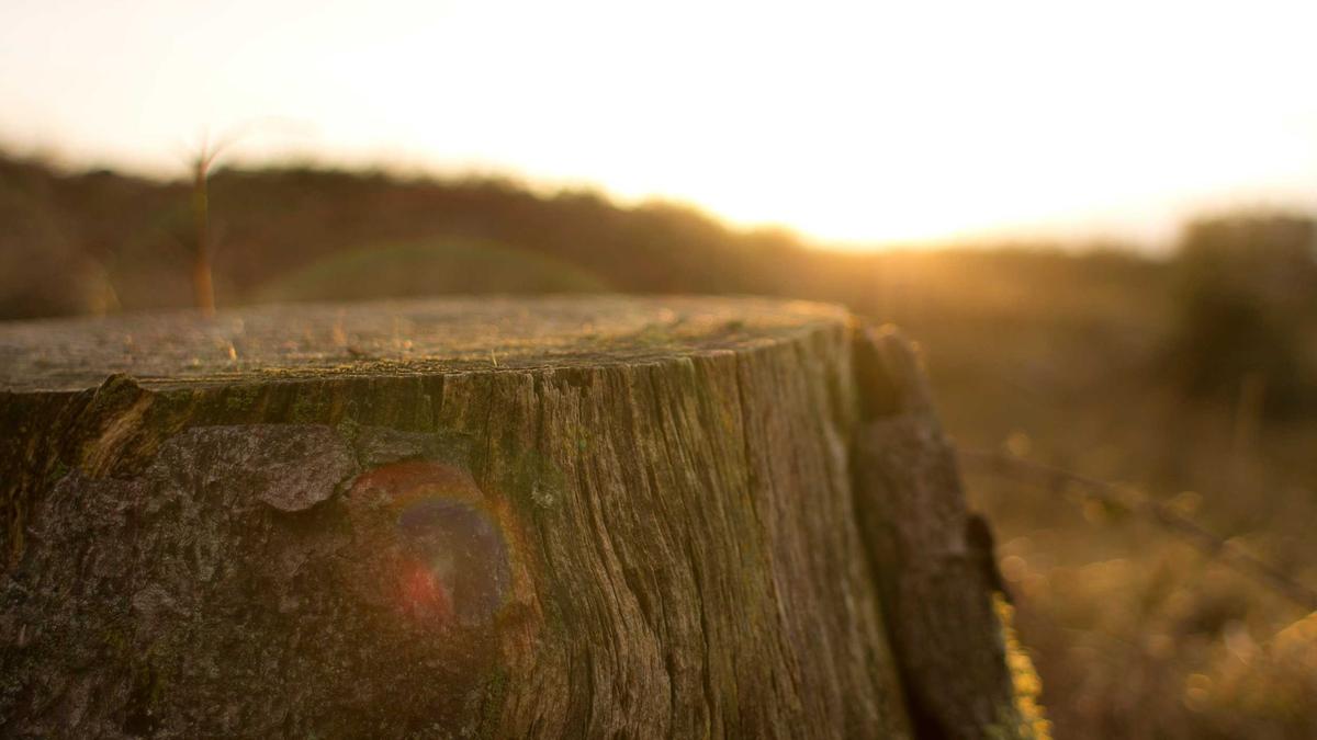 Detailansicht: Gefährliche Sonnenstrahlen